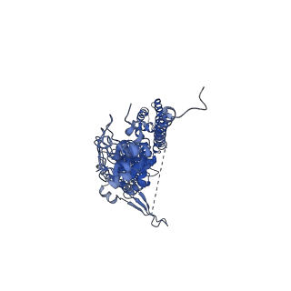 33896_7yks_A_v2-0
Structure of TRPA1 in Drosophila melanogaster in a state with 5 ankyrin repeats determined