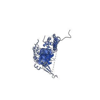 33896_7yks_A_v2-1
Structure of TRPA1 in Drosophila melanogaster in a state with 5 ankyrin repeats determined