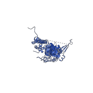 33896_7yks_B_v2-0
Structure of TRPA1 in Drosophila melanogaster in a state with 5 ankyrin repeats determined