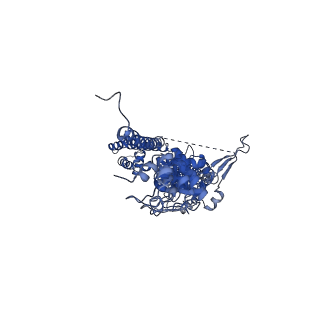 33896_7yks_B_v2-1
Structure of TRPA1 in Drosophila melanogaster in a state with 5 ankyrin repeats determined