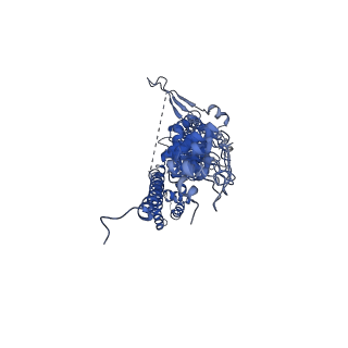 33896_7yks_C_v2-1
Structure of TRPA1 in Drosophila melanogaster in a state with 5 ankyrin repeats determined