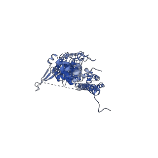 33896_7yks_D_v2-0
Structure of TRPA1 in Drosophila melanogaster in a state with 5 ankyrin repeats determined