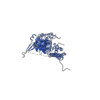 33896_7yks_D_v2-1
Structure of TRPA1 in Drosophila melanogaster in a state with 5 ankyrin repeats determined