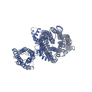 6831_5yke_B_v1-1
Structure of pancreatic ATP-sensitive potassium channel bound with glibenclamide and ATPgammaS (focused refinement on TM at 4.11A)