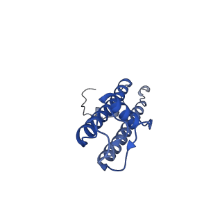 6831_5yke_C_v1-1
Structure of pancreatic ATP-sensitive potassium channel bound with glibenclamide and ATPgammaS (focused refinement on TM at 4.11A)