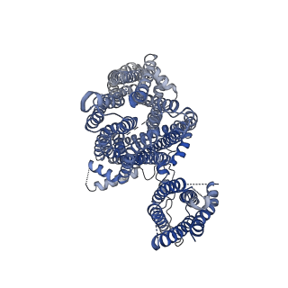 6831_5yke_D_v1-1
Structure of pancreatic ATP-sensitive potassium channel bound with glibenclamide and ATPgammaS (focused refinement on TM at 4.11A)