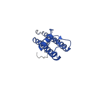 6831_5yke_E_v1-1
Structure of pancreatic ATP-sensitive potassium channel bound with glibenclamide and ATPgammaS (focused refinement on TM at 4.11A)