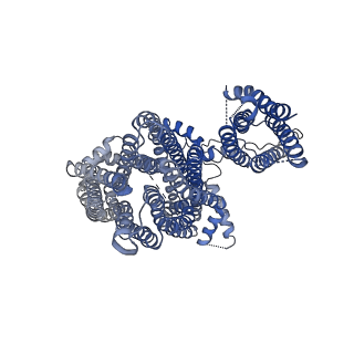 6831_5yke_F_v1-1
Structure of pancreatic ATP-sensitive potassium channel bound with glibenclamide and ATPgammaS (focused refinement on TM at 4.11A)