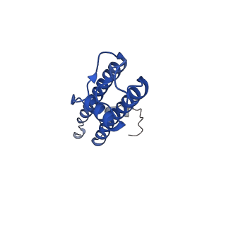 6831_5yke_G_v1-1
Structure of pancreatic ATP-sensitive potassium channel bound with glibenclamide and ATPgammaS (focused refinement on TM at 4.11A)