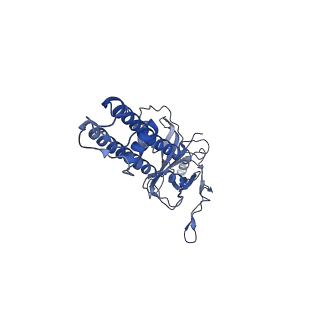 6832_5ykf_A_v1-2
Structure of pancreatic ATP-sensitive potassium channel bound with glibenclamide and ATPgammaS (3D class1 at 4.33A)