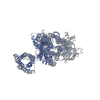 6832_5ykf_B_v1-2
Structure of pancreatic ATP-sensitive potassium channel bound with glibenclamide and ATPgammaS (3D class1 at 4.33A)