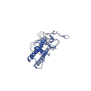6832_5ykf_C_v1-2
Structure of pancreatic ATP-sensitive potassium channel bound with glibenclamide and ATPgammaS (3D class1 at 4.33A)