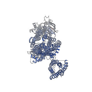 6832_5ykf_D_v1-2
Structure of pancreatic ATP-sensitive potassium channel bound with glibenclamide and ATPgammaS (3D class1 at 4.33A)