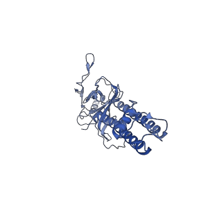 6832_5ykf_E_v1-2
Structure of pancreatic ATP-sensitive potassium channel bound with glibenclamide and ATPgammaS (3D class1 at 4.33A)