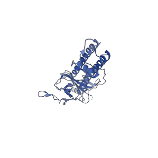 6832_5ykf_G_v1-2
Structure of pancreatic ATP-sensitive potassium channel bound with glibenclamide and ATPgammaS (3D class1 at 4.33A)
