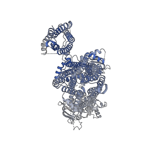 6832_5ykf_H_v1-2
Structure of pancreatic ATP-sensitive potassium channel bound with glibenclamide and ATPgammaS (3D class1 at 4.33A)