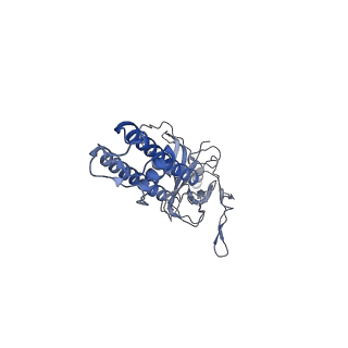 6833_5ykg_A_v1-1
Structure of pancreatic ATP-sensitive potassium channel bound with glibenclamide and ATPgammaS (Class2 at 4.57A)