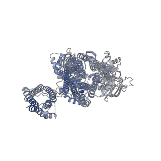 6833_5ykg_B_v1-1
Structure of pancreatic ATP-sensitive potassium channel bound with glibenclamide and ATPgammaS (Class2 at 4.57A)