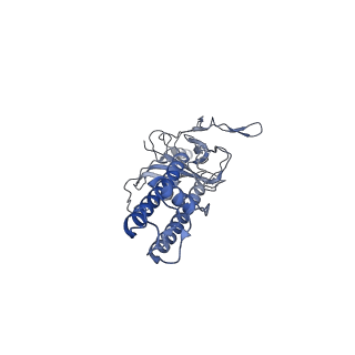 6833_5ykg_C_v1-1
Structure of pancreatic ATP-sensitive potassium channel bound with glibenclamide and ATPgammaS (Class2 at 4.57A)