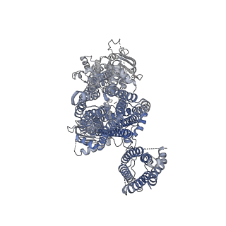 6833_5ykg_D_v1-1
Structure of pancreatic ATP-sensitive potassium channel bound with glibenclamide and ATPgammaS (Class2 at 4.57A)