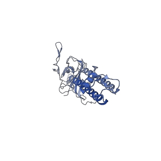 6833_5ykg_E_v1-1
Structure of pancreatic ATP-sensitive potassium channel bound with glibenclamide and ATPgammaS (Class2 at 4.57A)