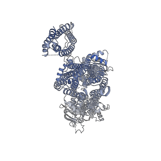 6833_5ykg_H_v1-1
Structure of pancreatic ATP-sensitive potassium channel bound with glibenclamide and ATPgammaS (Class2 at 4.57A)