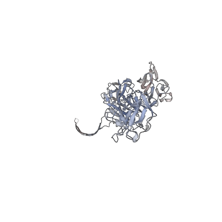 33215_7yl9_I_v1-0
Cryo-EM structure of complete transmembrane channel E289A mutant Vibrio cholerae Cytolysin
