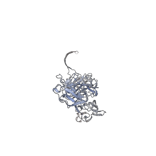 33215_7yl9_K_v1-0
Cryo-EM structure of complete transmembrane channel E289A mutant Vibrio cholerae Cytolysin