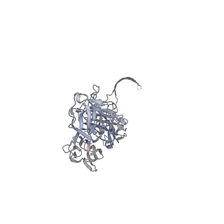 33215_7yl9_L_v1-0
Cryo-EM structure of complete transmembrane channel E289A mutant Vibrio cholerae Cytolysin