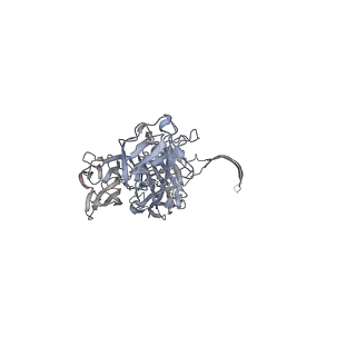 33215_7yl9_M_v1-0
Cryo-EM structure of complete transmembrane channel E289A mutant Vibrio cholerae Cytolysin