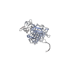 33215_7yl9_N_v1-0
Cryo-EM structure of complete transmembrane channel E289A mutant Vibrio cholerae Cytolysin