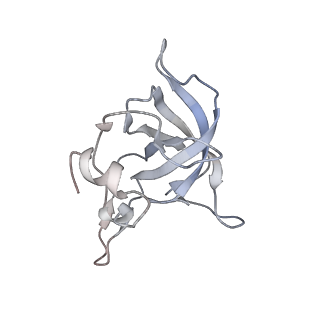 33904_7yla_S_v1-1
Cryo-EM structure of 50S-HflX complex