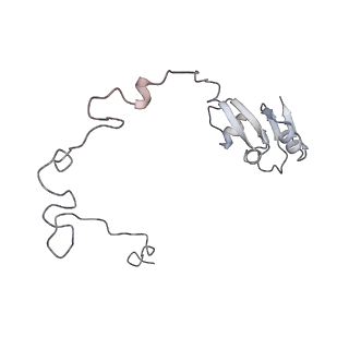 33904_7yla_T_v1-1
Cryo-EM structure of 50S-HflX complex