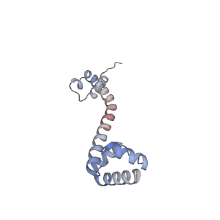33904_7yla_Y_v1-1
Cryo-EM structure of 50S-HflX complex