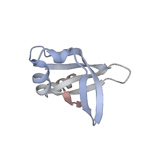 33904_7yla_d_v1-1
Cryo-EM structure of 50S-HflX complex