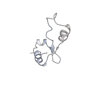 33904_7yla_l_v1-1
Cryo-EM structure of 50S-HflX complex