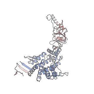 33917_7ylu_A_v1-0
yeast TRiC-plp2-substrate complex at S1 TRiC-NPP state