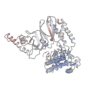 33917_7ylu_B_v1-0
yeast TRiC-plp2-substrate complex at S1 TRiC-NPP state
