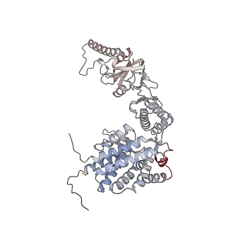 33917_7ylu_D_v1-0
yeast TRiC-plp2-substrate complex at S1 TRiC-NPP state