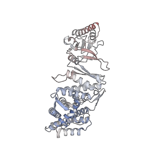 33917_7ylu_E_v1-0
yeast TRiC-plp2-substrate complex at S1 TRiC-NPP state