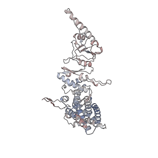 33917_7ylu_G_v1-0
yeast TRiC-plp2-substrate complex at S1 TRiC-NPP state