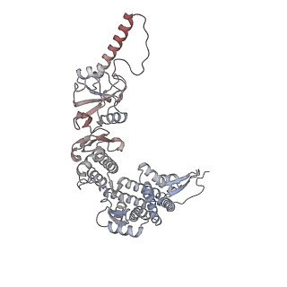 33917_7ylu_H_v1-0
yeast TRiC-plp2-substrate complex at S1 TRiC-NPP state