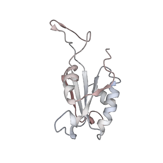 33917_7ylu_P_v1-0
yeast TRiC-plp2-substrate complex at S1 TRiC-NPP state
