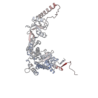 33917_7ylu_Q_v1-0
yeast TRiC-plp2-substrate complex at S1 TRiC-NPP state
