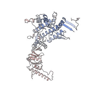 33917_7ylu_a_v1-0
yeast TRiC-plp2-substrate complex at S1 TRiC-NPP state