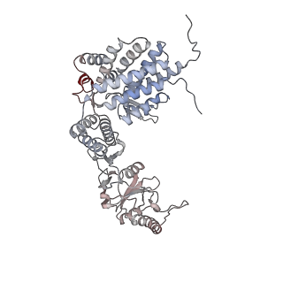 33917_7ylu_d_v1-0
yeast TRiC-plp2-substrate complex at S1 TRiC-NPP state