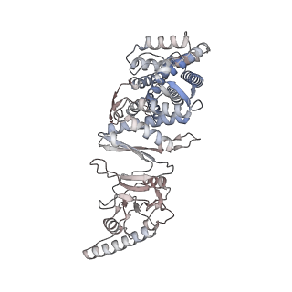 33917_7ylu_e_v1-0
yeast TRiC-plp2-substrate complex at S1 TRiC-NPP state
