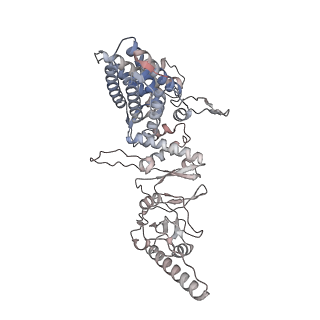 33917_7ylu_g_v1-0
yeast TRiC-plp2-substrate complex at S1 TRiC-NPP state