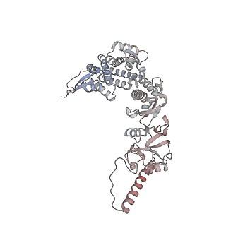 33917_7ylu_h_v1-0
yeast TRiC-plp2-substrate complex at S1 TRiC-NPP state