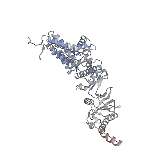 33917_7ylu_z_v1-0
yeast TRiC-plp2-substrate complex at S1 TRiC-NPP state
